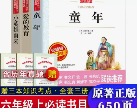 童年爱的教育小英雄雨来高尔基管桦快乐读书吧...