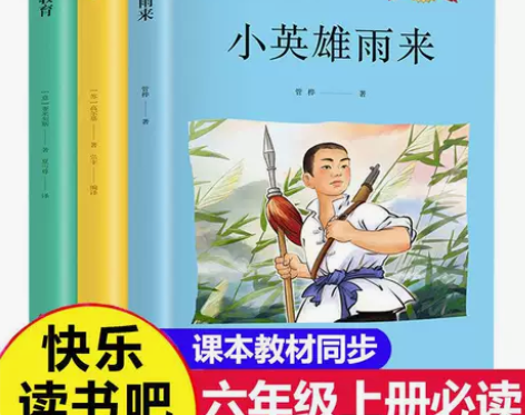 快乐读书吧爱的教育童年小英雄雨来六年级必读...