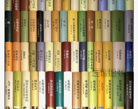 呼啸山庄 悲惨世界呼啸山庄世界名著全套10...