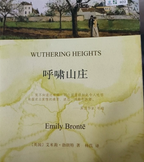 呼啸山庄小说中文及英文正版精装打印共两本,...
