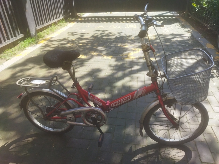 飞鸽自行车折叠车，代步好工具，中间弹簧的位...