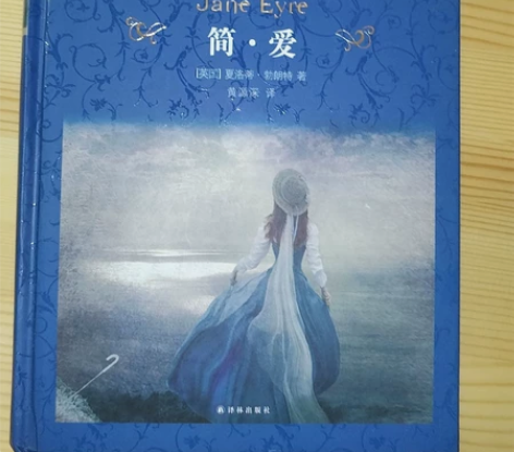 经典译林版简爱，全新无使用痕迹 感兴趣的话...