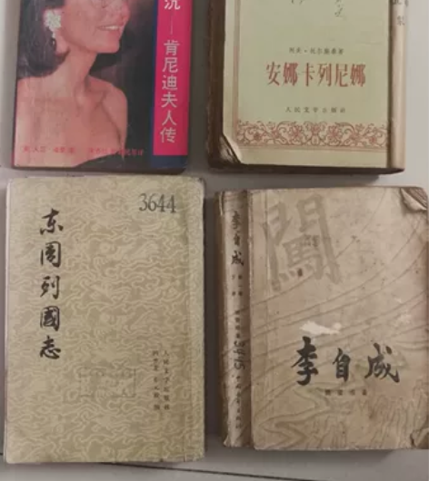 老书，《肯尼迪夫人传》《安娜.卡列尼娜》 ...
