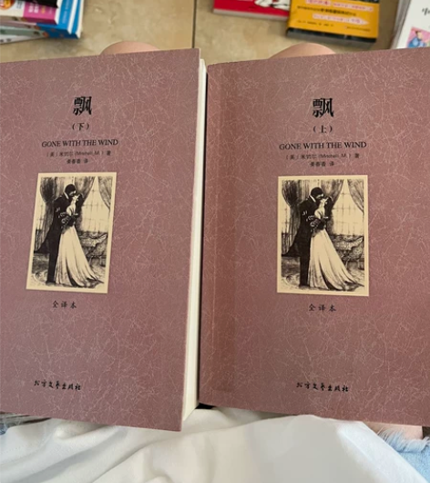 《飘》上下册全新 美国名著 初高中大学必读...