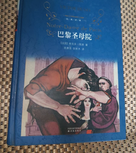 小说 巴黎圣母院，精装经典译林 维克多.雨...