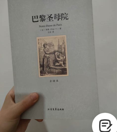 《巴黎圣母院》这本书是王岩译世界名著,原价...