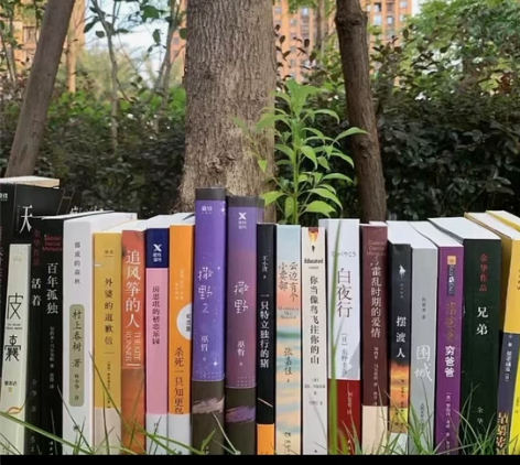 可任选！百年孤独 天才在左疯子在右 三体 ...