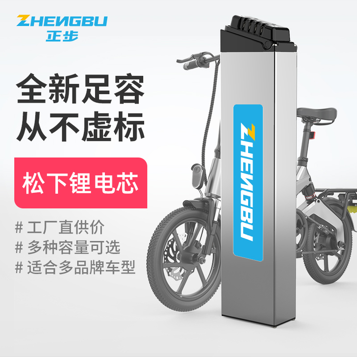 ZB/正步 电动车电池