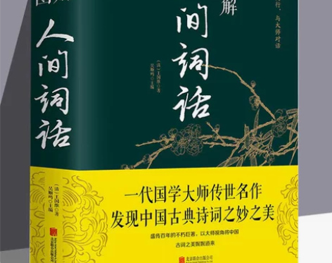 厚464页 正版彩图图解 人间词话 王国维...