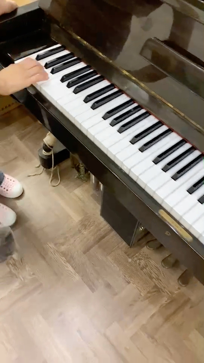 星海钢琴 113C（高110、长148）