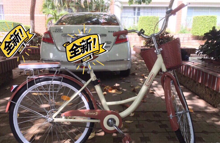 厂家清理库存自行车女式成人轻便普通男女学生...