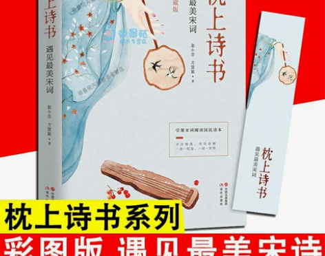 正版 枕上诗书 遇见最美宋词 抖音同款一本...