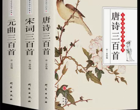3册唐诗三百首宋词元曲三百首全集注释 初高...