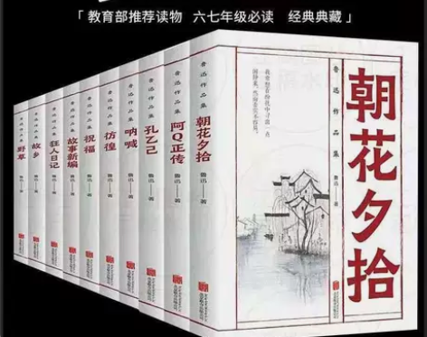 鲁迅全集必读10册朝花夕拾狂人日记祝福呐喊...