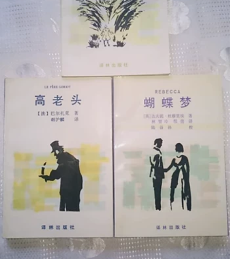 格列佛游记/高老头/蝴蝶梦/复活/茶花女/...