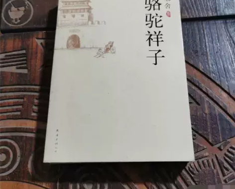 正版二手 骆驼祥子  南海出版公司  老舍...