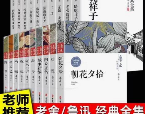 鲁迅经典10本+老舍经典10本/学校指定读...
