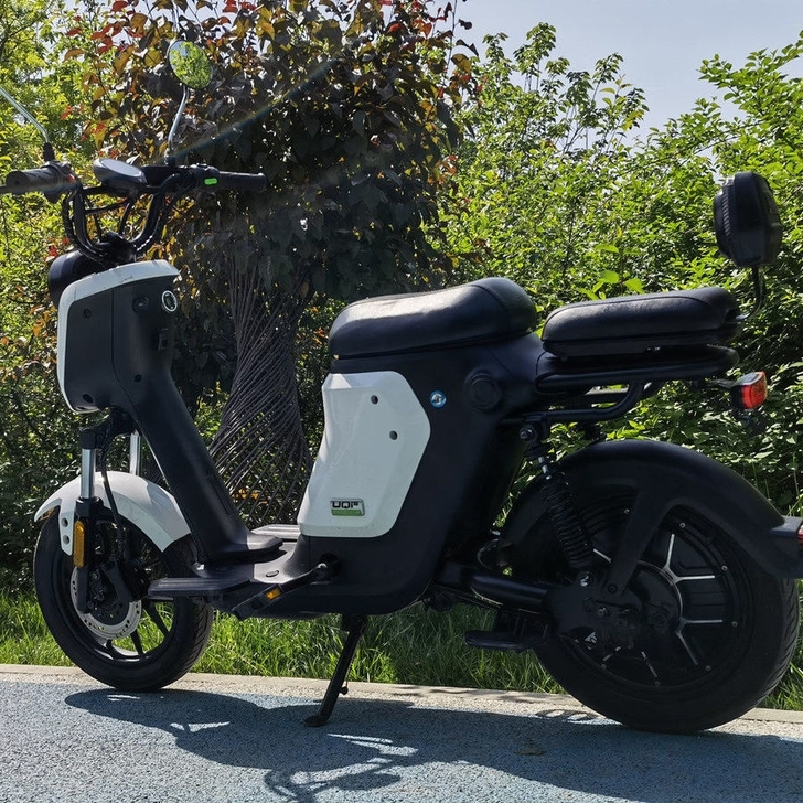 全新世纪顺新国标电动车成人电动自行车48V...