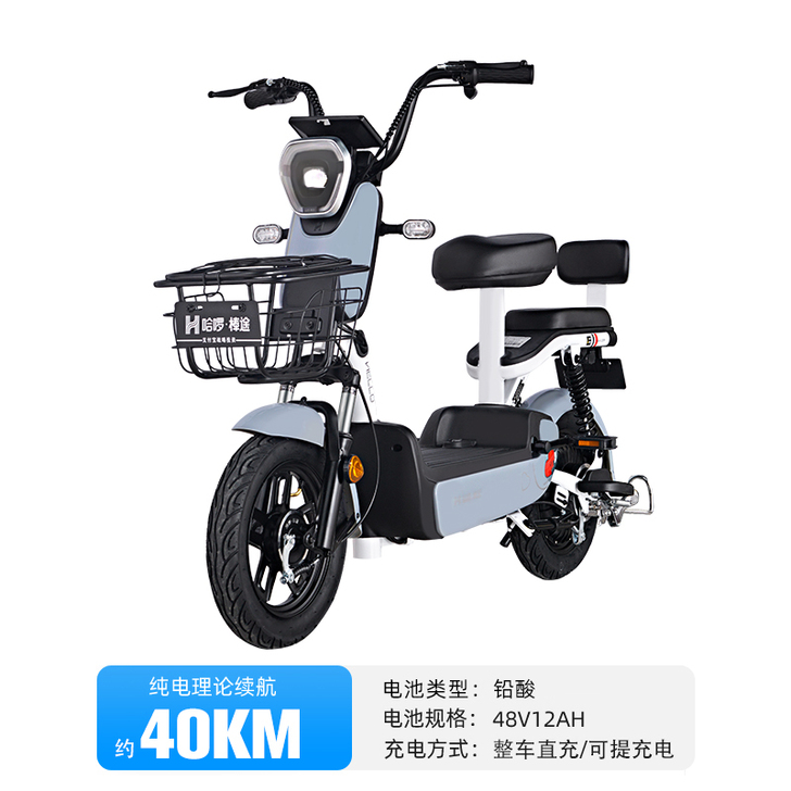 棒途 电动自行车 入手十天，工作调动，没办...