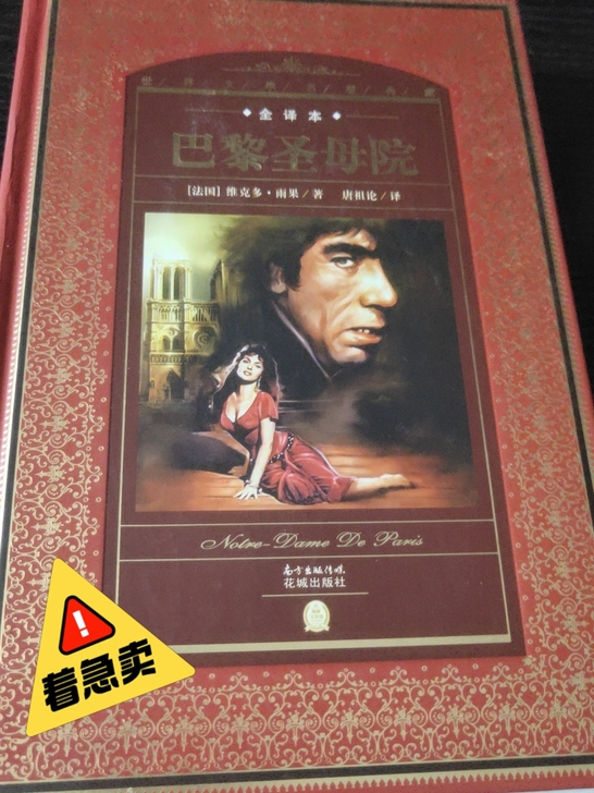 京东入，巴黎圣母院，全新