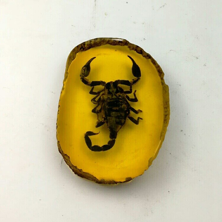 天然人工琥珀吊坠 虫子标本虫 动物昆虫带虫...