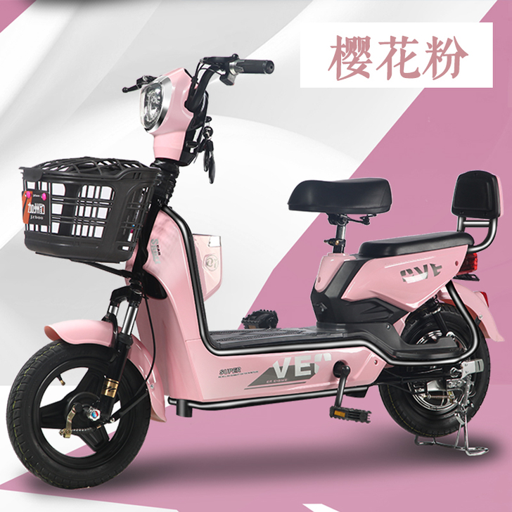 加州豹电动车新国标电瓶48V小型代步助力电...