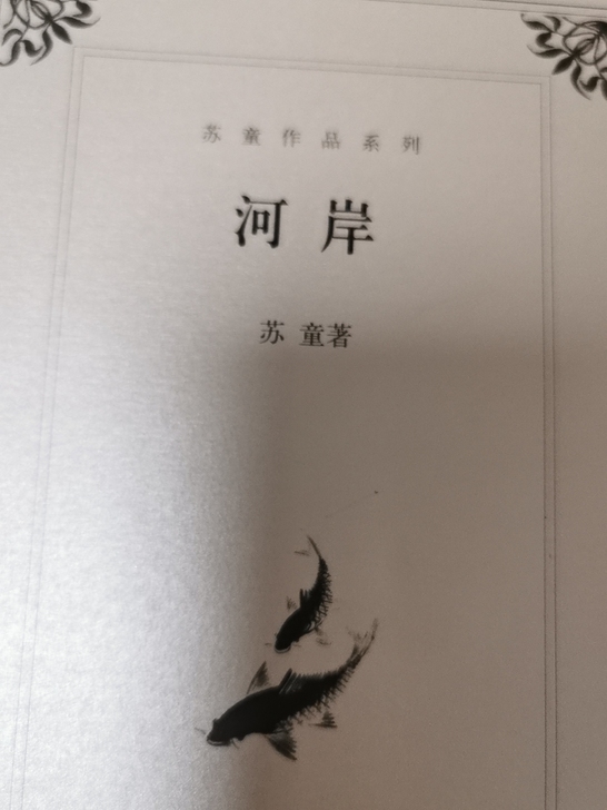 【出】《河岸》原价35，可刀