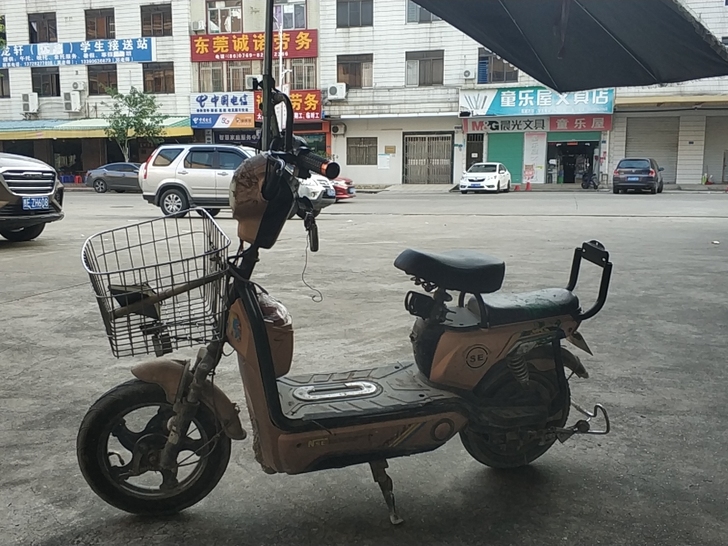 飞鸽电动车48v20an大电池买菜车东莞市...