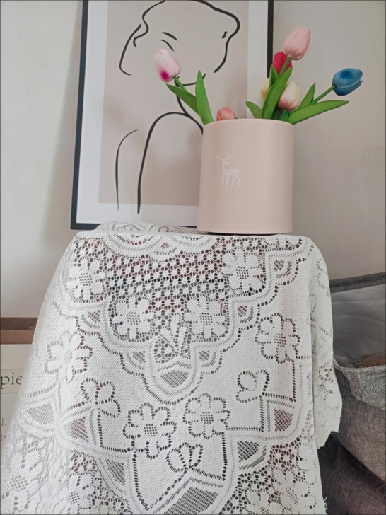 蕾丝桌布ins风白色床头排骨架茶几搭配盖布...