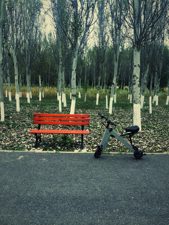 FTN折叠电动车 30公里，带定速巡航