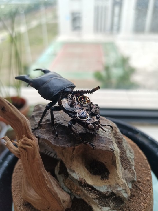 静态标本废土蒸汽朋克昆虫标本～机械昆虫标本...