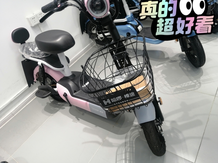 8月开学季，哈罗来助力