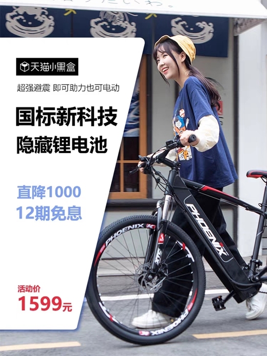 转卖Phoenix/凤凰 电动自行车