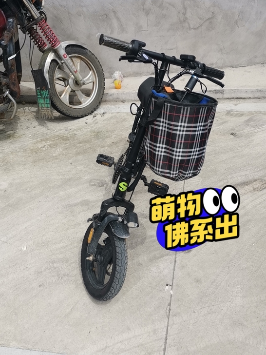 拼多多上买的,可以看一下同款起步价都一千多...