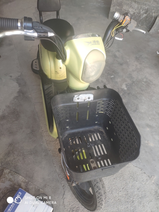捷豹电动车48伏20安大电池，已更换了新电...