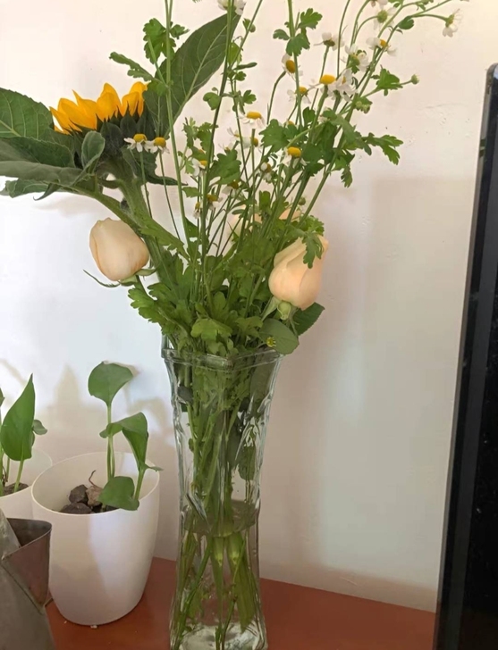 【买一送一】玻璃花瓶透明摆件加厚客厅插花水...