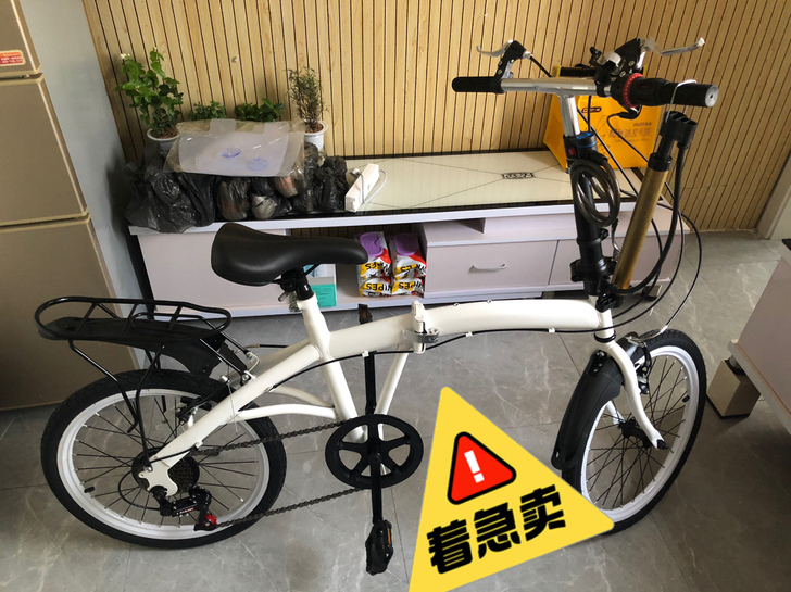 20寸折叠单车,无Logo,入手到现在就在...