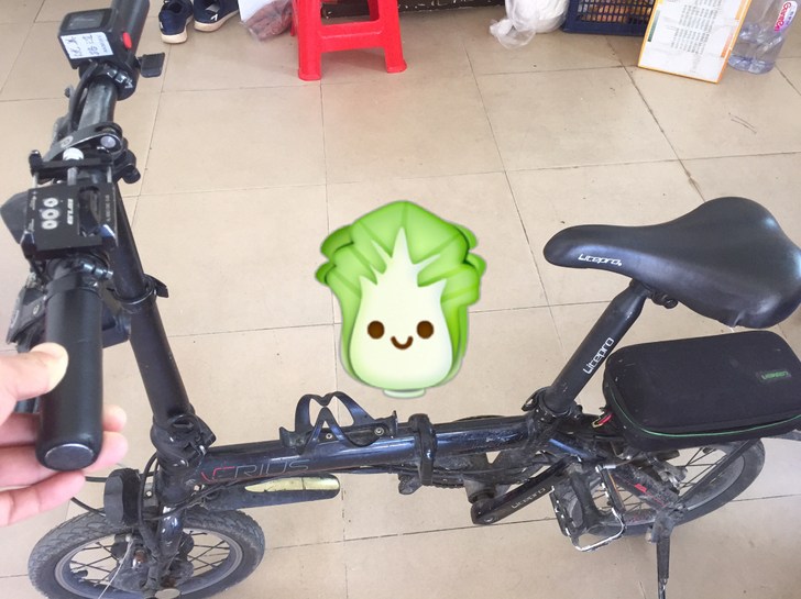 代驾14寸，折叠点单车