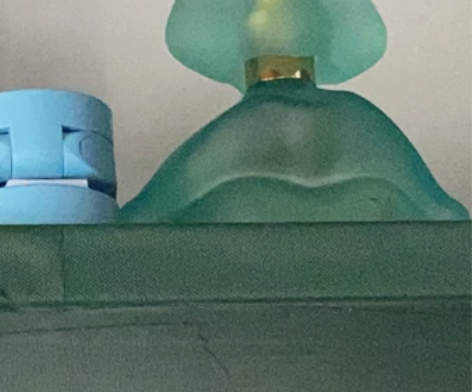 莎娃蒂妮香水 绿唇 有盒子正装100ml