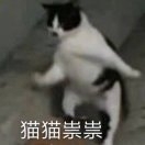 #特卖活动区#出三町目家游轮夏尔