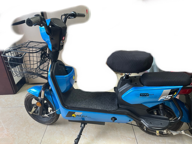 电动车  电动自行车 9.9新