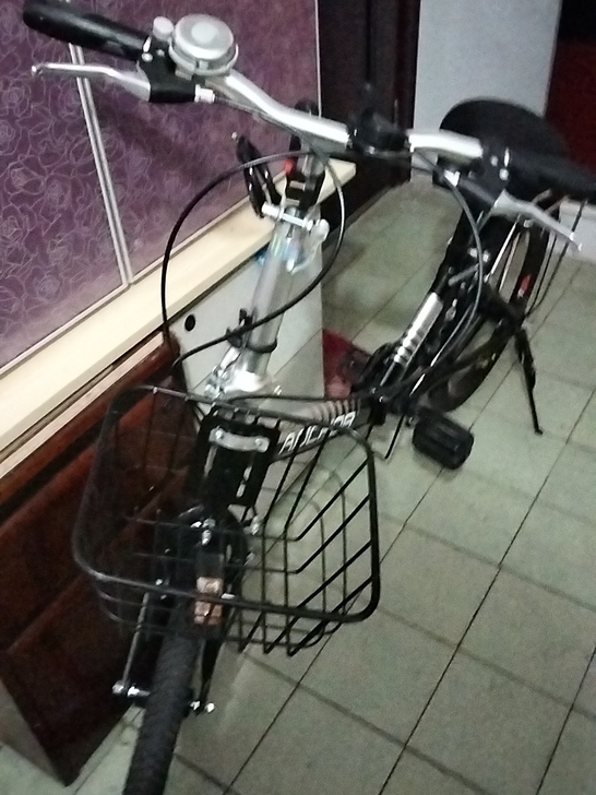 天津飞鸽，买来三个多月，摆在家里不方便。割...