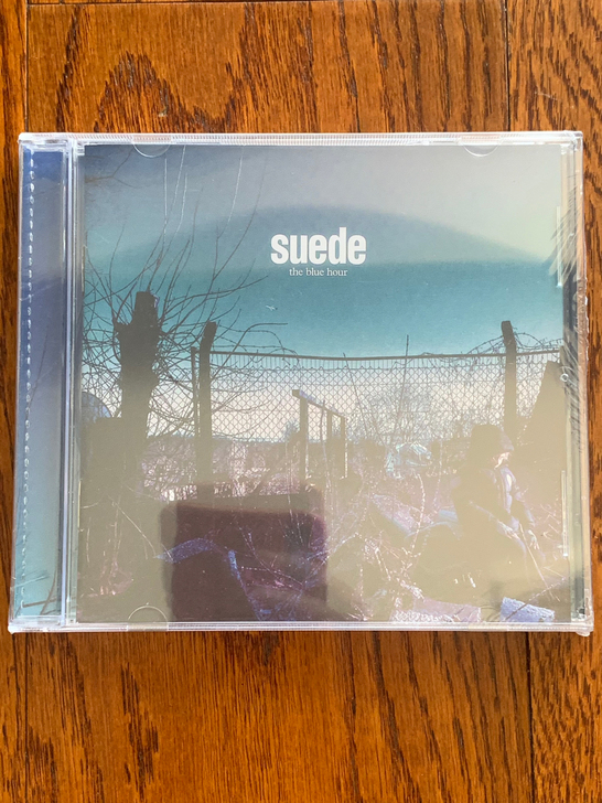 Suede山羊皮乐队The Blue Ho...
