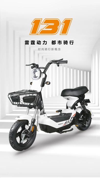 国标电动车成人电动自行车 配置等级：标准型...