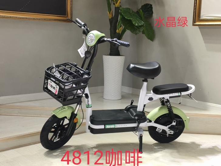 友鸽电动车全新新到货最新款，特价出实体店炸...