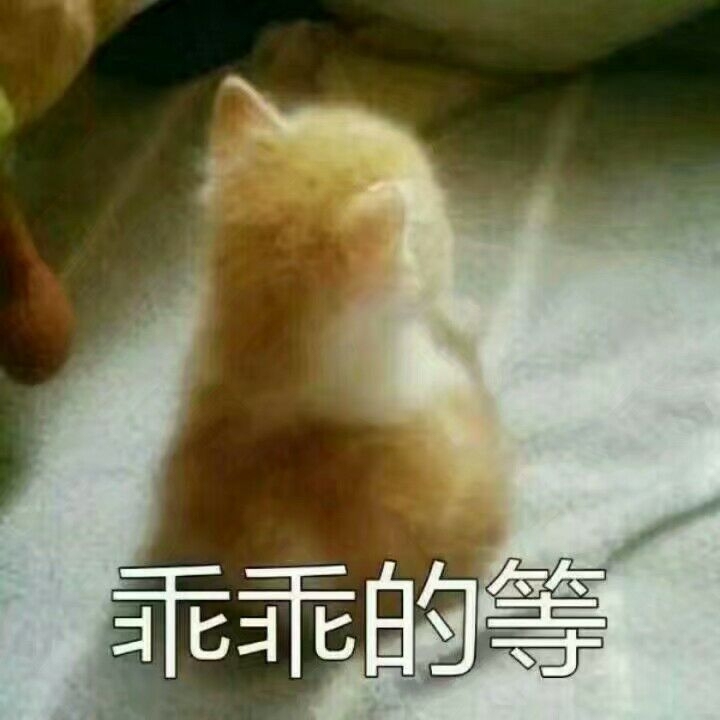 英语作文 四六级/专四专八/雅思