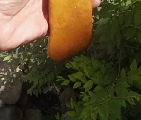 黄蜡石,天然石,镇纸,尺寸135,50,1...