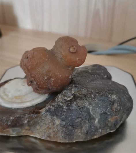 水冲玛瑙象型奇石 感兴趣的话点“我想要”和...