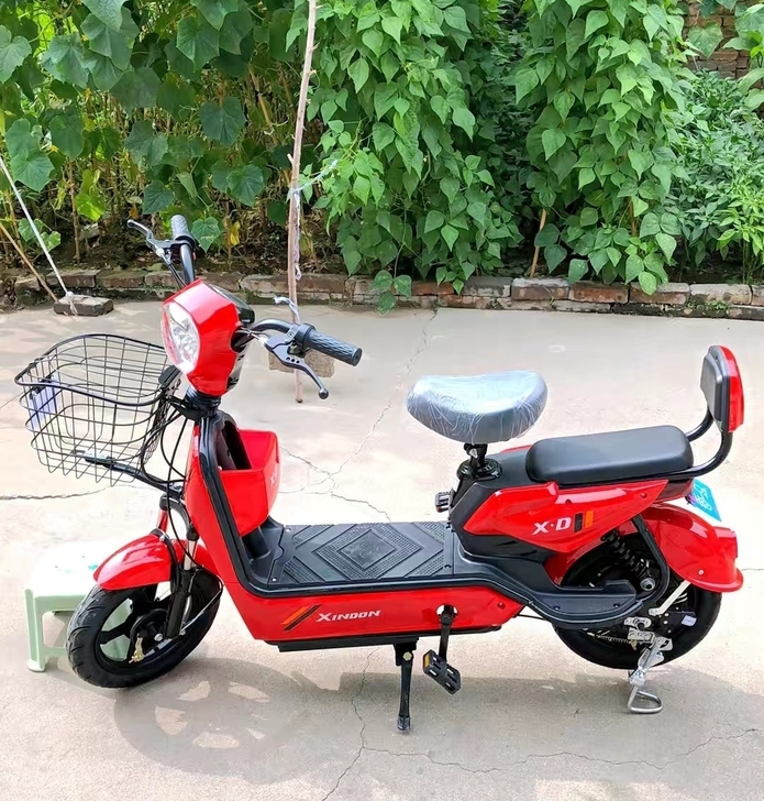 【处理899】电动自行车锂电池48V伏电瓶...