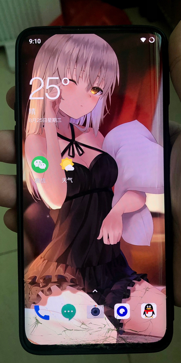 【已预定】